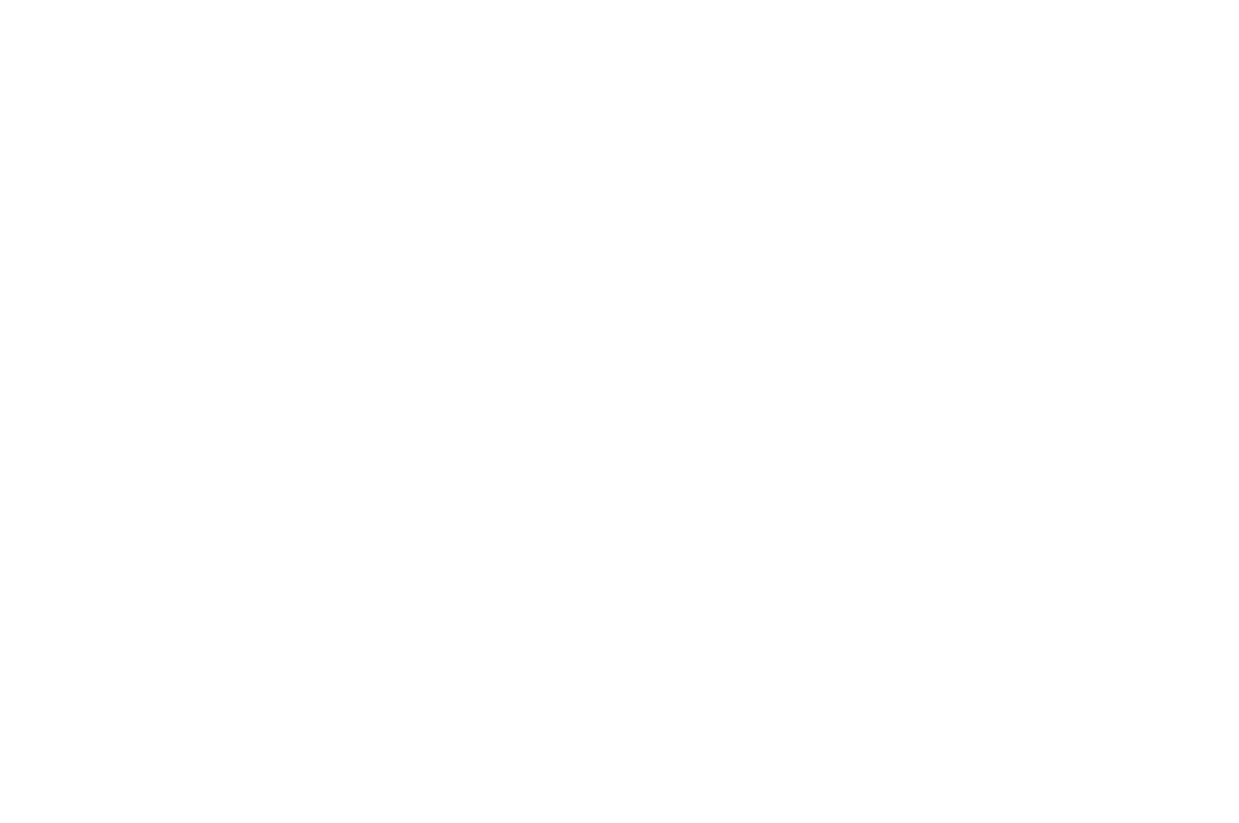 AWARD NOMINEE - LA FTE DU CLIP DE LYON - ONEFIFTY - INSTITUTIONAL LIVES