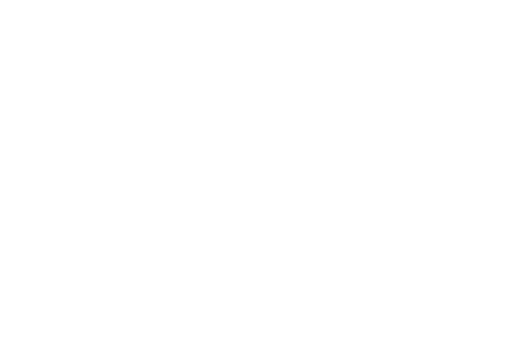 BEST DIRECTOR HONORABLE MENTION - TOYKO SHORT FILM FESTIVAL - ONEFIFTY - XTC